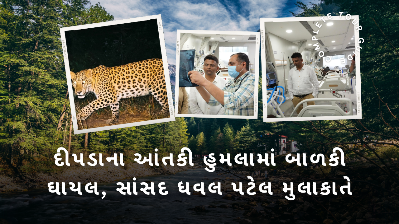 દીપડાના આંતકી હુમલામાં બાળકી ઘાયલ, લોકસભા દંડક હોસ્પિટલમાં મુલાકાતે