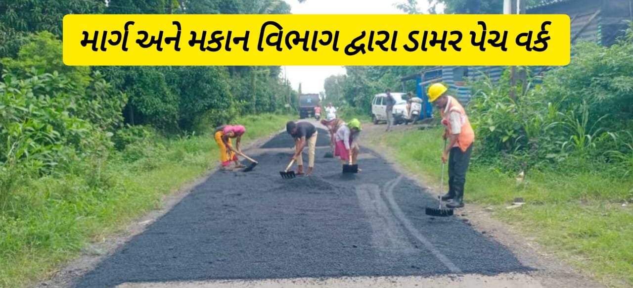 માર્ગ અને મકાન વિભાગ (પંચાયત) દ્વારા ડામર પેચ વર્કની કામગીરી