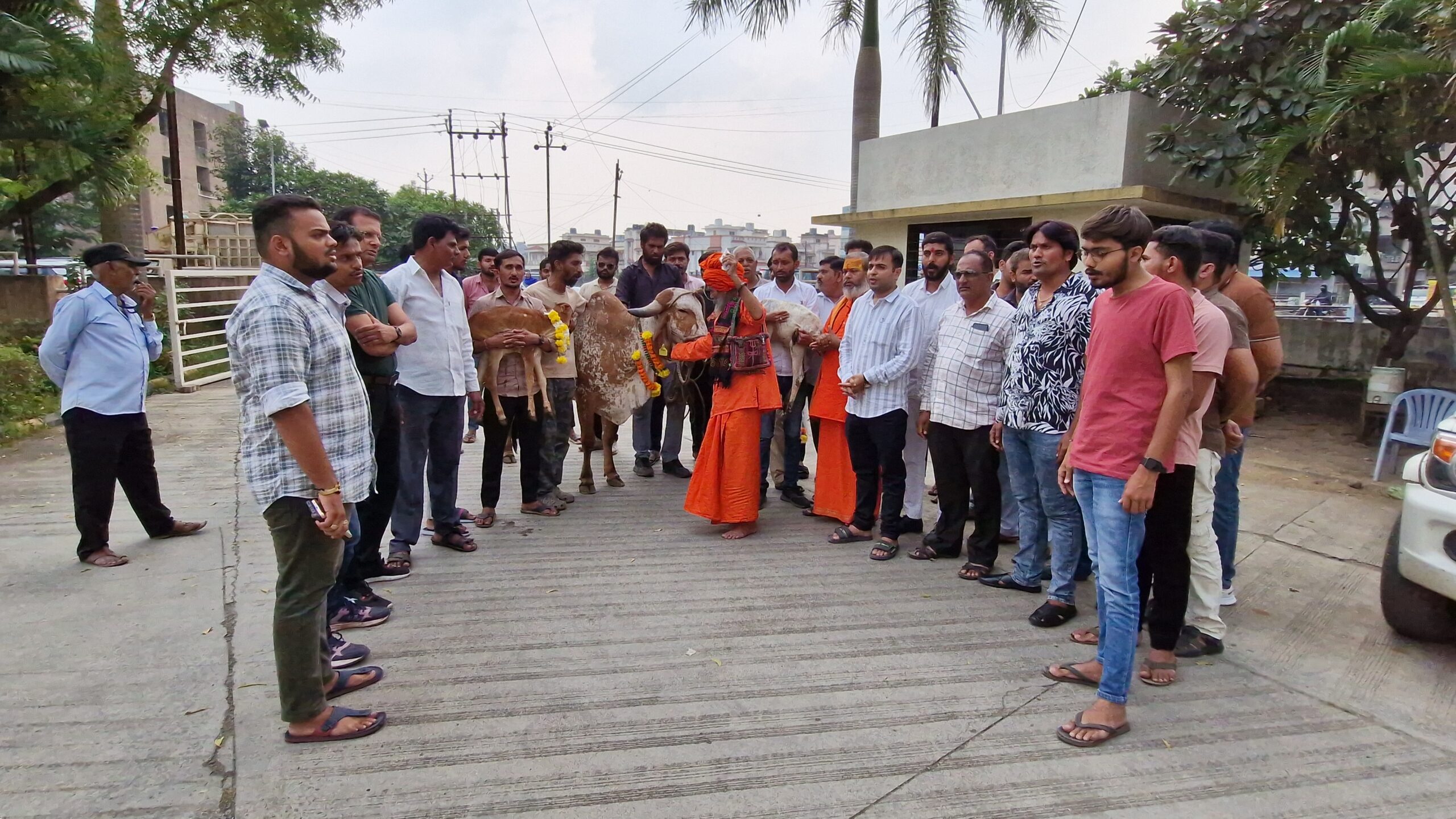 ગુજરાતમાં ગૌમાતાને રાષ્ટ્રીય માતા જાહેર કરવાની માંગ    