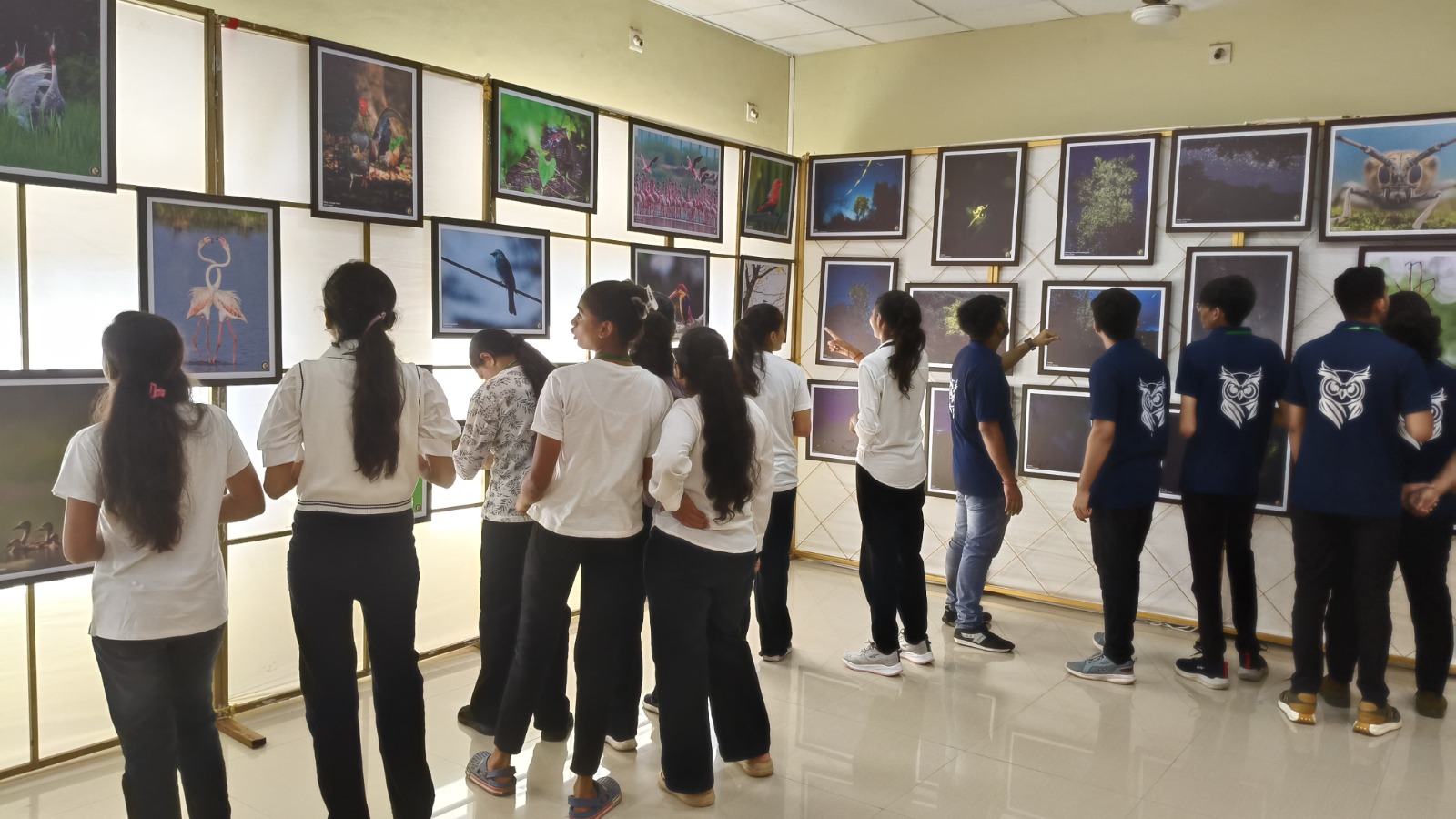 સામાજિક વનીકરણ વિભાગ દ્વારા ‘વાઇલ્ડ લાઇફ ફોટોગ્રાફિ એક્ઝીબીશન’